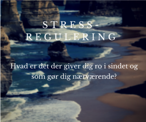 stress og selvregulering