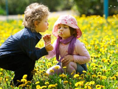 Terapi, børn optaget af blomsten